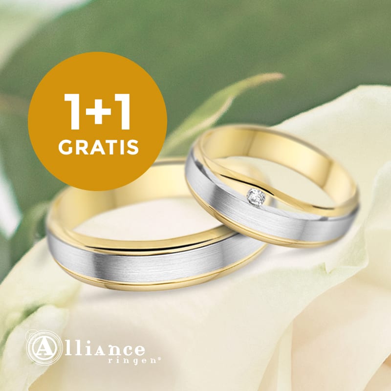 bevestigen Hubert Hudson Caroline Aanbieding tweede trouwring gratis - Trouwringensite.nl Juwelier Goudland
